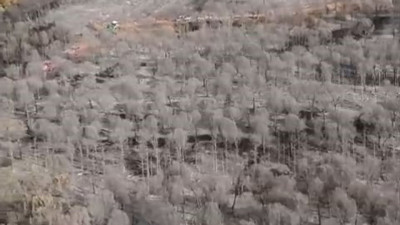 Bursa'da küle dönen ormanlık alan havadan görüntülendi
