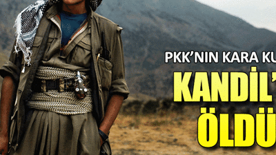PKK'nın kara kutusu Kandil'de öldü