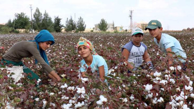 Veli-Der'in raporu ortaya koydu: 7 çocuktan 1'i eğitimin dışında