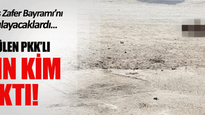 Eyleme gelen PKK'lı öldürüldü