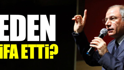 Efkan Ala neden istifa etti?