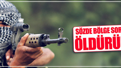 PKK’nın ‘bölge sorumlusu’ öldürüldü