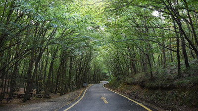 Bartın'da piknikçilere müjde! Yasak sona erdi: Bartın Valiliği duyurdu