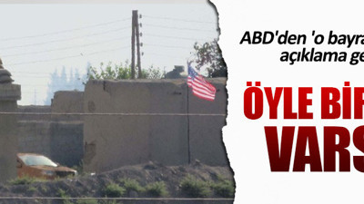PYD'nin astığı bayraklar için ABD'den açıklama geldi