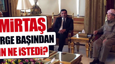 Demirtaş, Barzani’den destek istedi