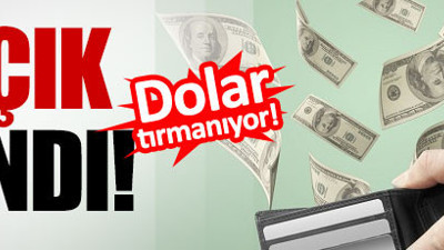 Cari açık rakamları açıklandı (12 Ekim 2016)