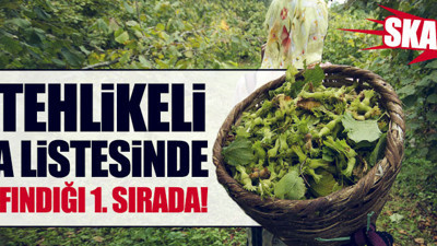 En tehlikeli 10 gıda arasında Türk fındığı ilk sırada