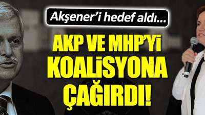Gülen'in 1 numaralı adamından AKP ve Bahçeli'ye çağrı