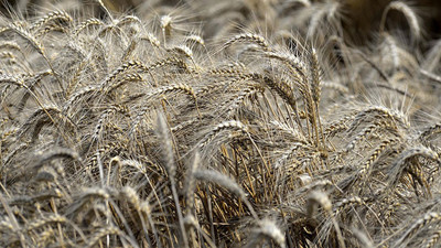 Dünyada arttı, Türkiye'de azaldı