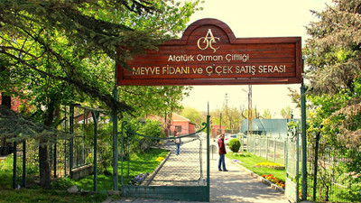 Atatürk Orman Çitliği 90 yıl içinde yüzde 40 küçüldü