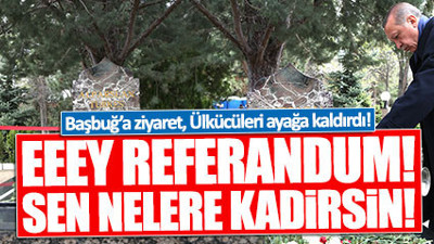 Erdoğan'ın Türkeş ziyareti, Ülkücü camiayı ayağa kaldırdı!