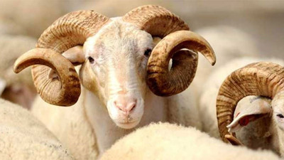 En güzel, en yeni Kurban Bayramı mesajları 2017