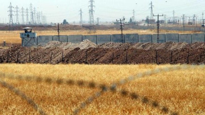 Suriye sınırına bu bitkilerin ekimi yasaklandı