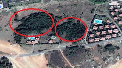20 dönümlük ağaçlık alana TOKİ villa yapacak