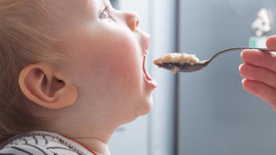 Virüslü mama 83 ülkeye satılmış