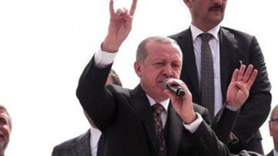 AKP'den ilginç 'bozkurt' açıklaması