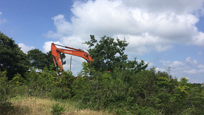 TOKİ’den yeni bir çevre katliamı