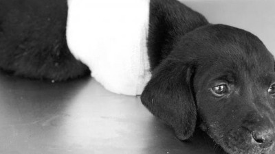 Kepçe operatörü “suçsuzum” dedi