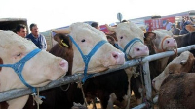 Kurbanlıklarda büyük tehlike