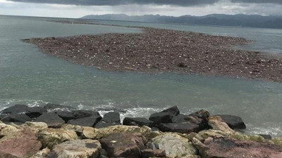 Sel felaketi fındığı nasıl etkiler