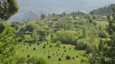 Bergama’da altın madenine onay çıktı