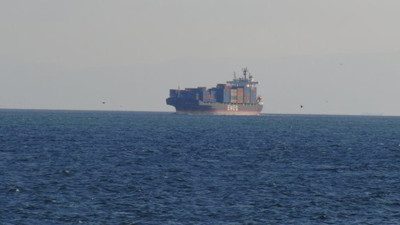 Gizemli gemide şarbonlu hayvanlar mı var?