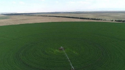 Hazine arazileri çiftçilere kiralanacak