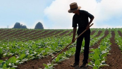 Gübre fiyatlarında indirim
