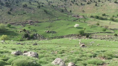 Hazine arazisi kiralayamayan köylü işsiz kaldı