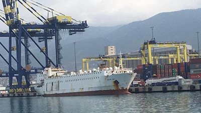 Gemideki Angusların tahliyesine başlandı