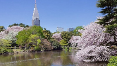 Turistlerden korkan görevli ücret almadı