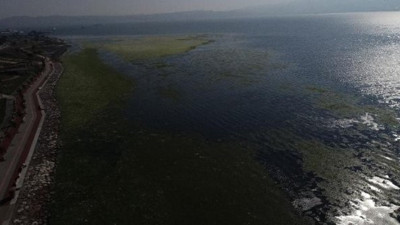 İzmir Körfezi'nde korkutan görüntü!