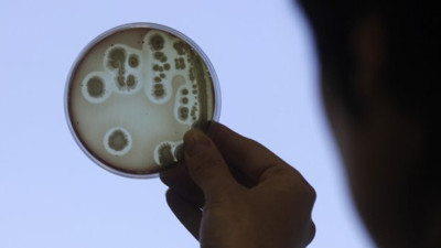 OECD'den bakteri alarmı: Türkiye'de risk altında