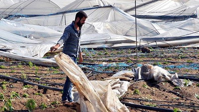 Dolu ve fırtına 15 milyon TL'lik zarara yol açtı