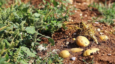 Çiftçiden 'depolama' tepkisi