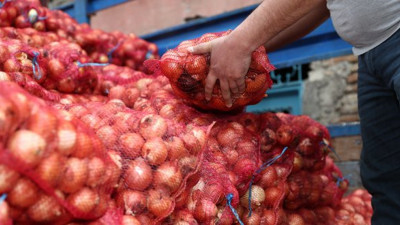 Soğanın kilosu 5 lirayı bulunca...