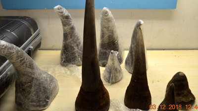 Atatürk Havalimanı'nda 'gergedan boynuzu' operasyonu