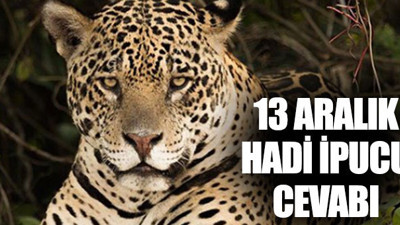 Postu iri benekli büyük kedi hangisidir? Hadi ipucu sorusu