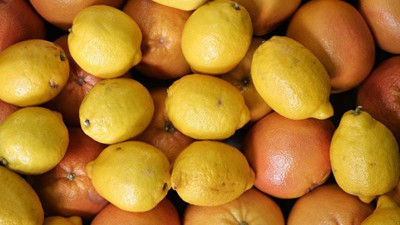 Rusya'dan 490 ton narenciyeye engel