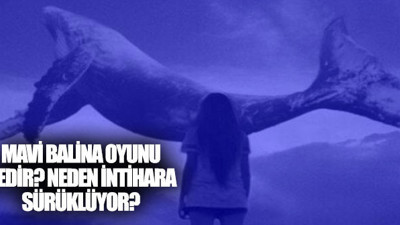 Mavi Balina nedir? Mavi Balina nasıl intihara sürüklüyor?