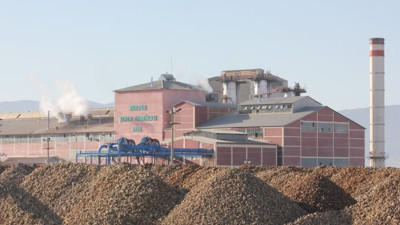 Şeker fabrikası ihalesinde yedek şirket fiyaskosu!