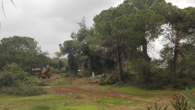 "Ağaçları Bakanlık kestiriyor"