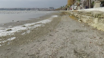 Silivri'de deniz 50 metre çekildi