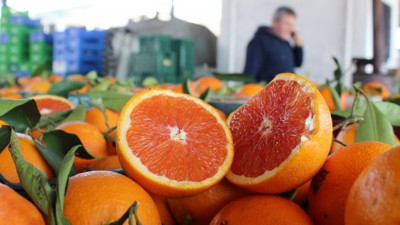 'Doğal afet nedeniyle portakal fiyatı artacak'