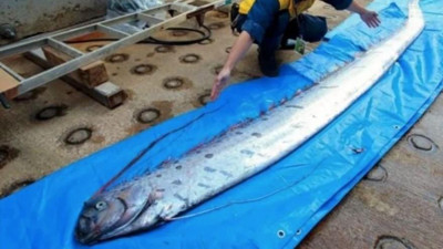 Denizin dibinden depremin habercisi mi çıktı?