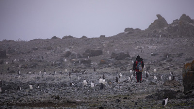 O kıtadan hayvan ya da bitki çıkarmak yasak