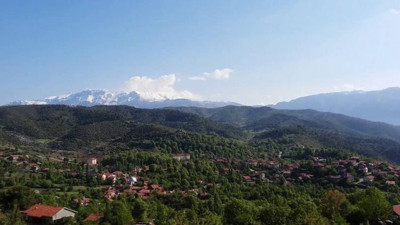 Mermer ocağı için 30 bin ağaç kesilecek!