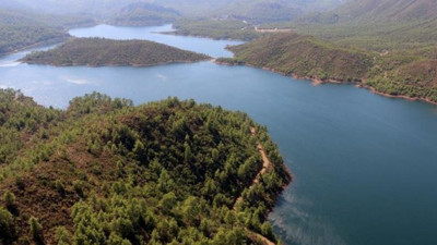 İklim değişikliğine 1.2 trilyon ağaçlandırma!