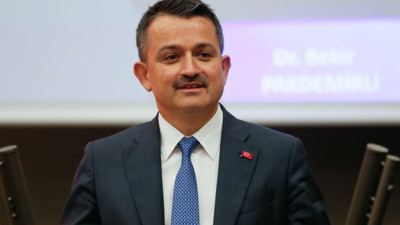 Pakdemirli, tanzime 15-20 gün ömür biçti