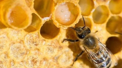 Binlercesi etrafa saçıldı!